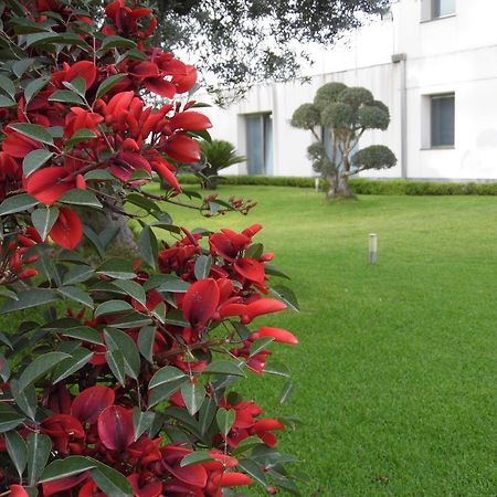 Fiore Dell'Etna Apartment Santa Venerina Exterior photo