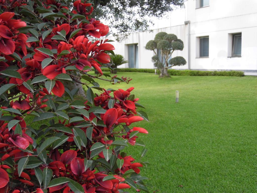 Fiore Dell'Etna Apartment Santa Venerina Exterior photo
